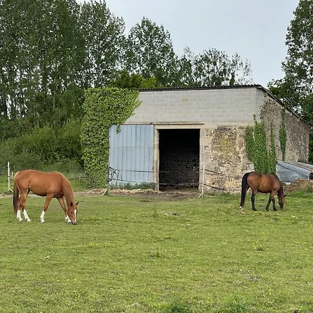 Couette-café L'autre Rivière - D'hôtes *