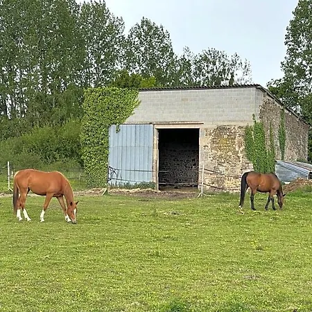 L'autre Riviere - D'hotes Bed and Breakfast Ducey-Les Cheris