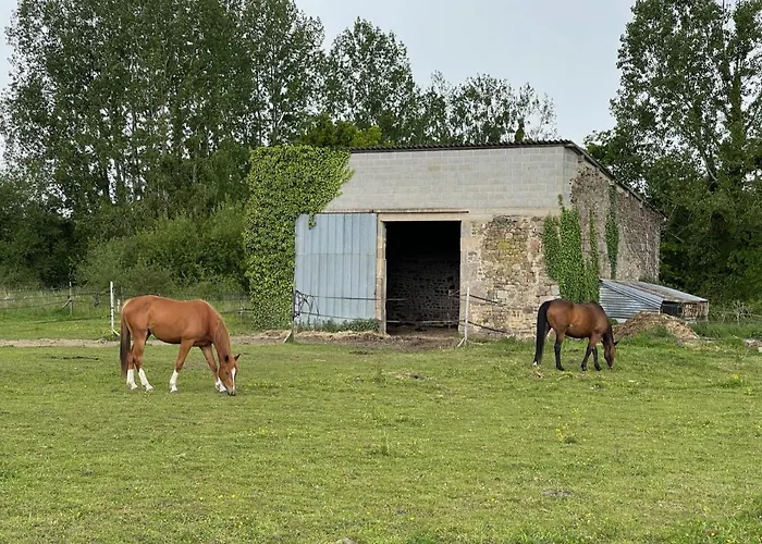 Bed & Breakfast L'autre Riviere - D'hotes *